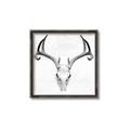 Picture of Cranial Bone ll   _GroupedProduct_Square_Canvas_Framed_