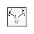 Picture of Cranial Bone ll   _GroupedProduct_Square_Canvas_Framed_