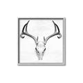 Picture of Cranial Bone ll   _GroupedProduct_Square_Canvas_Framed_