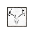 Picture of Cranial Bone ll   _GroupedProduct_Square_Canvas_Framed_