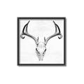 Picture of Cranial Bone ll   _GroupedProduct_Square_Canvas_Framed_
