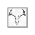Picture of Cranial Bone ll   _GroupedProduct_Square_Canvas_Framed_