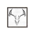 Picture of Cranial Bone ll   _GroupedProduct_Square_Canvas_Framed_