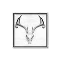 Picture of Cranial Bone ll   _GroupedProduct_Square_Canvas_Framed_