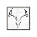 Picture of Cranial Bone ll   _GroupedProduct_Square_Canvas_Framed_