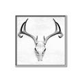 Picture of Cranial Bone ll   _GroupedProduct_Square_Canvas_Framed_