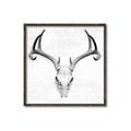 Picture of Cranial Bone ll   _GroupedProduct_Square_Canvas_Framed_