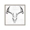 Picture of Cranial Bone ll   _GroupedProduct_Square_Canvas_Framed_