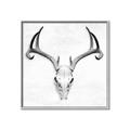 Picture of Cranial Bone ll   _GroupedProduct_Square_Canvas_Framed_