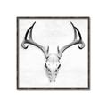 Picture of Cranial Bone ll   _GroupedProduct_Square_Canvas_Framed_
