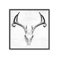 Picture of Cranial Bone ll   _GroupedProduct_Square_Canvas_Framed_