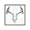 Picture of Cranial Bone ll   _GroupedProduct_Square_Canvas_Framed_