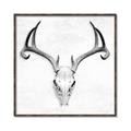 Picture of Cranial Bone ll   _GroupedProduct_Square_Canvas_Framed_