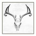 Picture of Cranial Bone ll   _GroupedProduct_Square_Canvas_Framed_
