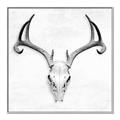 Picture of Cranial Bone ll   _GroupedProduct_Square_Canvas_Framed_