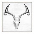 Picture of Cranial Bone ll   _GroupedProduct_Square_Canvas_Framed_