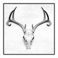 Picture of Cranial Bone ll   _GroupedProduct_Square_Canvas_Framed_