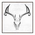 Picture of Cranial Bone ll   _GroupedProduct_Square_Canvas_Framed_
