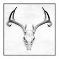 Picture of Cranial Bone ll   _GroupedProduct_Square_Canvas_Framed_