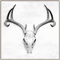Picture of Cranial Bone ll   _GroupedProduct_Square_Canvas_Framed_