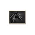 Picture of Black Beauty _GroupedProduct_Rectangle_Landscape_Photography _GroupedProduct_Rectangle_Landscape_Canvas_Framed_