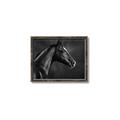 Picture of Black Beauty _GroupedProduct_Rectangle_Landscape_Photography _GroupedProduct_Rectangle_Landscape_Canvas_Framed_