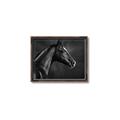 Picture of Black Beauty _GroupedProduct_Rectangle_Landscape_Photography _GroupedProduct_Rectangle_Landscape_Canvas_Framed_