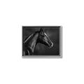 Picture of Black Beauty _GroupedProduct_Rectangle_Landscape_Photography _GroupedProduct_Rectangle_Landscape_Canvas_Framed_