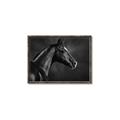 Picture of Black Beauty _GroupedProduct_Rectangle_Landscape_Photography _GroupedProduct_Rectangle_Landscape_Canvas_Framed_