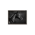 Picture of Black Beauty _GroupedProduct_Rectangle_Landscape_Photography _GroupedProduct_Rectangle_Landscape_Canvas_Framed_