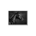 Picture of Black Beauty _GroupedProduct_Rectangle_Landscape_Photography _GroupedProduct_Rectangle_Landscape_Canvas_Framed_