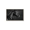 Picture of Black Beauty _GroupedProduct_Rectangle_Landscape_Photography _GroupedProduct_Rectangle_Landscape_Canvas_Framed_