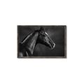 Picture of Black Beauty _GroupedProduct_Rectangle_Landscape_Photography _GroupedProduct_Rectangle_Landscape_Canvas_Framed_
