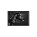 Picture of Black Beauty _GroupedProduct_Rectangle_Landscape_Photography _GroupedProduct_Rectangle_Landscape_Canvas_Framed_