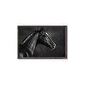 Picture of Black Beauty _GroupedProduct_Rectangle_Landscape_Photography _GroupedProduct_Rectangle_Landscape_Canvas_Framed_