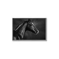 Picture of Black Beauty _GroupedProduct_Rectangle_Landscape_Photography _GroupedProduct_Rectangle_Landscape_Canvas_Framed_
