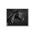 Picture of Black Beauty _GroupedProduct_Rectangle_Landscape_Photography _GroupedProduct_Rectangle_Landscape_Canvas_Framed_