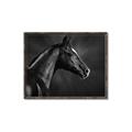 Picture of Black Beauty _GroupedProduct_Rectangle_Landscape_Photography _GroupedProduct_Rectangle_Landscape_Canvas_Framed_