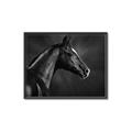 Picture of Black Beauty _GroupedProduct_Rectangle_Landscape_Photography _GroupedProduct_Rectangle_Landscape_Canvas_Framed_