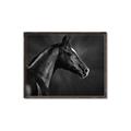 Picture of Black Beauty _GroupedProduct_Rectangle_Landscape_Photography _GroupedProduct_Rectangle_Landscape_Canvas_Framed_