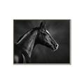 Picture of Black Beauty _GroupedProduct_Rectangle_Landscape_Photography _GroupedProduct_Rectangle_Landscape_Canvas_Framed_