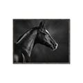 Picture of Black Beauty _GroupedProduct_Rectangle_Landscape_Photography _GroupedProduct_Rectangle_Landscape_Canvas_Framed_