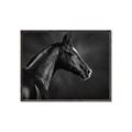 Picture of Black Beauty _GroupedProduct_Rectangle_Landscape_Photography _GroupedProduct_Rectangle_Landscape_Canvas_Framed_