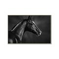 Picture of Black Beauty _GroupedProduct_Rectangle_Landscape_Photography _GroupedProduct_Rectangle_Landscape_Canvas_Framed_