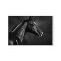 Picture of Black Beauty _GroupedProduct_Rectangle_Landscape_Photography _GroupedProduct_Rectangle_Landscape_Canvas_Framed_