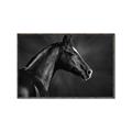 Picture of Black Beauty _GroupedProduct_Rectangle_Landscape_Photography _GroupedProduct_Rectangle_Landscape_Canvas_Framed_