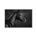 Picture of Black Beauty _GroupedProduct_Rectangle_Landscape_Photography _GroupedProduct_Rectangle_Landscape_Canvas_Framed_
