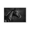 Picture of Black Beauty _GroupedProduct_Rectangle_Landscape_Photography _GroupedProduct_Rectangle_Landscape_Canvas_Framed_