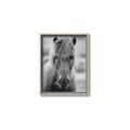 Picture of Icelandic horse in black and white _GroupedProduct_Rectangle_Portrait_Photography _GroupedProduct_Rectangle_Portrait_Canvas_Framed_