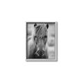 Picture of Icelandic horse in black and white _GroupedProduct_Rectangle_Portrait_Photography _GroupedProduct_Rectangle_Portrait_Canvas_Framed_